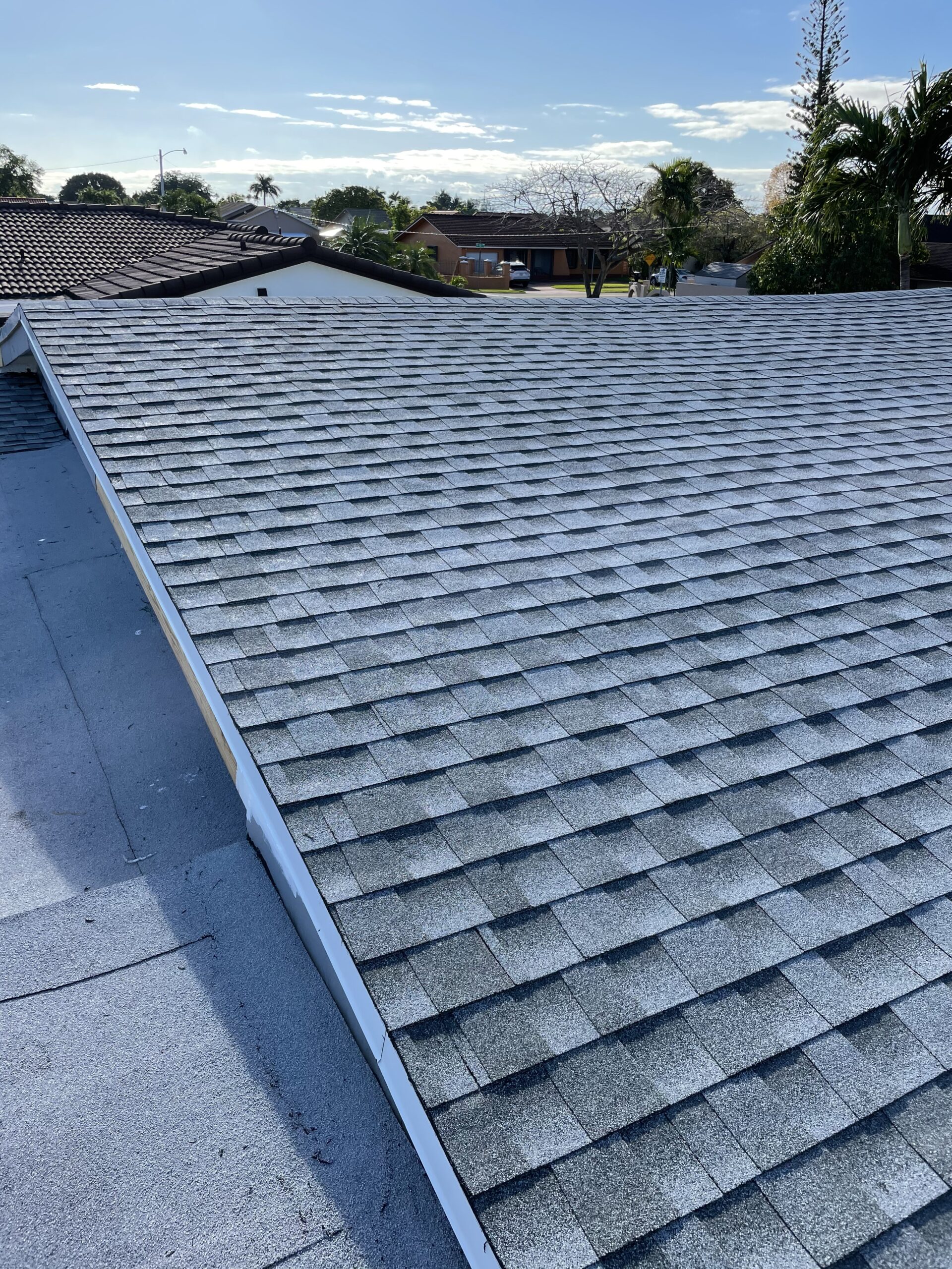 Gray asphalt shingle roof with trees in the background