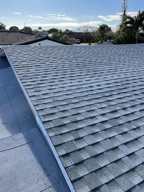 Asphalt Shingle Roof